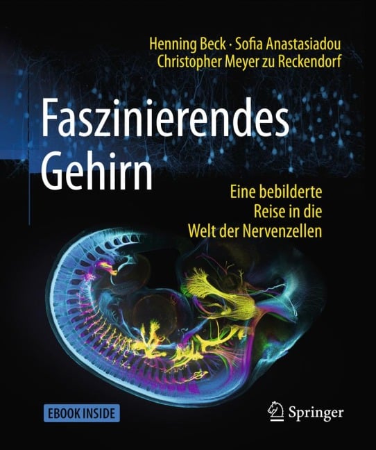 Faszinierendes Gehirn - Henning Beck, Sofia Anastasiadou, Christopher Meyer zu Reckendorf