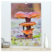 Cover-Bild zum Titel 'Pilze in Hochform (hochwertiger Premium Wandkalender 2026 DIN A2 hoch), Kunstdruck in Hochglanz' von 'Clemens Stenner'