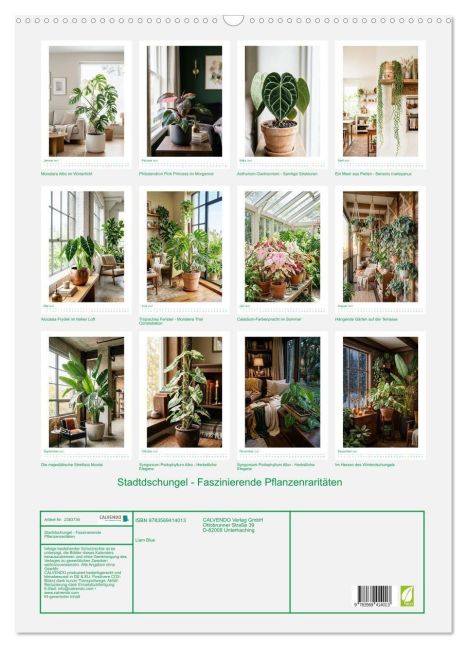 InsideView 5