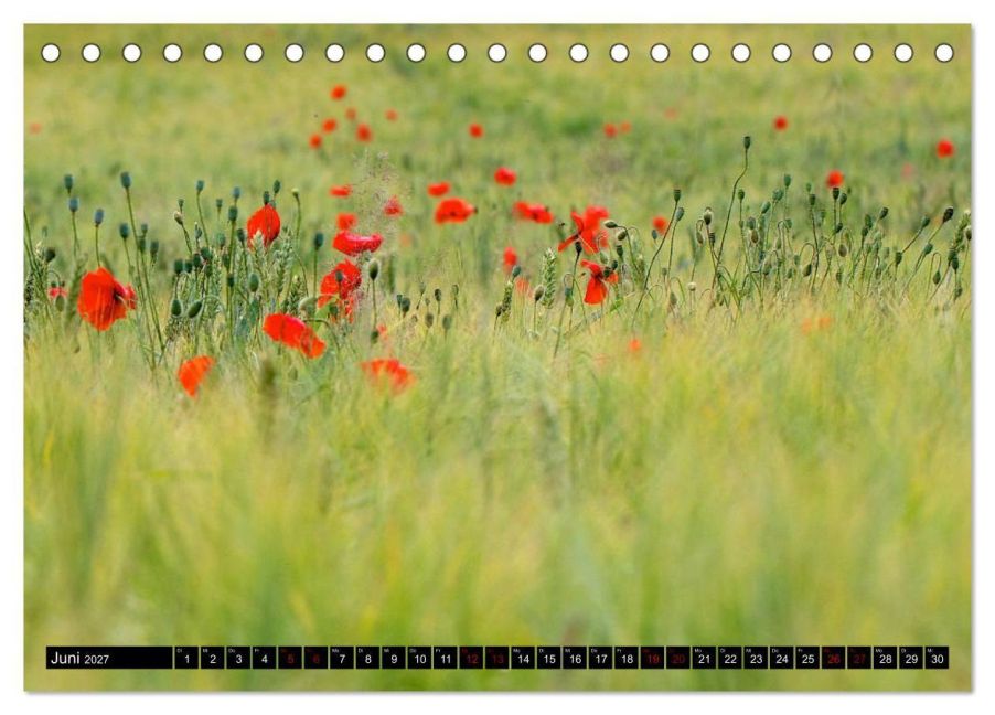 InsideView 11