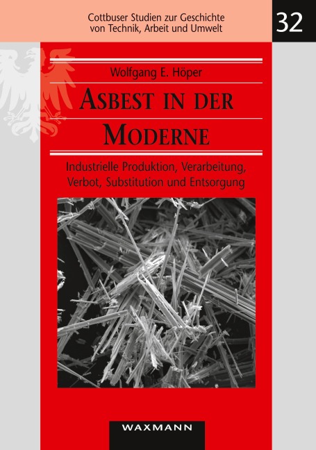 Asbest in der Moderne - Wolfgang E. Höper