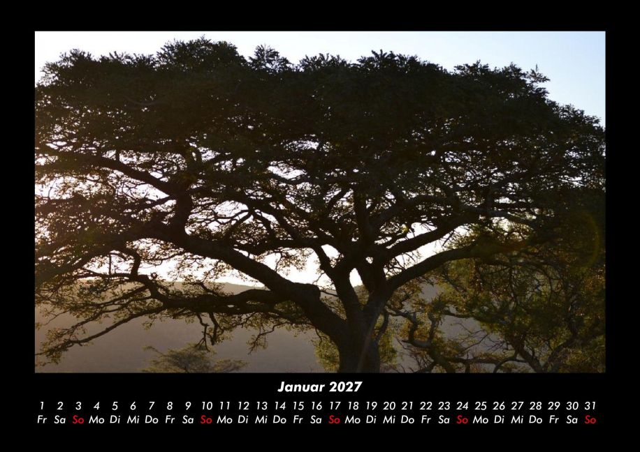 InsideView 5