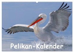 Cover-Bild zum Titel 'Pelikan-Kalender (Wandkalender 2026 DIN A2 quer), CALVENDO Monatskalender' von 'Gerald Wolf'