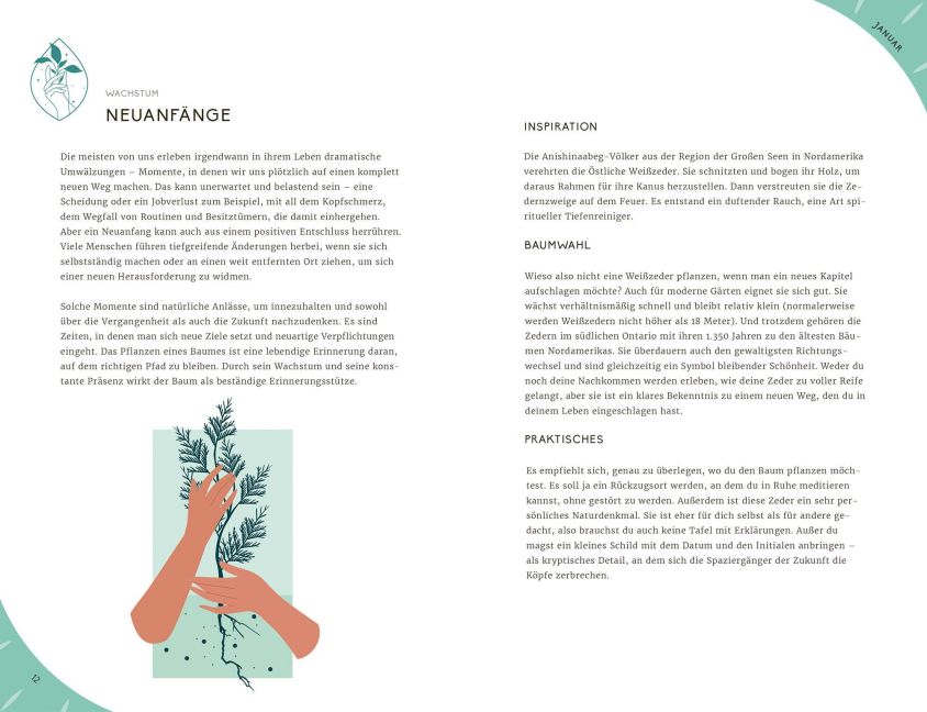 InsideView 3