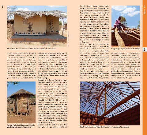 InsideView 7