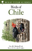 Cover-Bild zum Titel 'Field Guide to the Birds of Chile' von 'Daniel E. Martínez Piña, Gonzalo E. González Cifuentes'