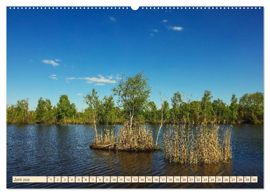 InsideView 10