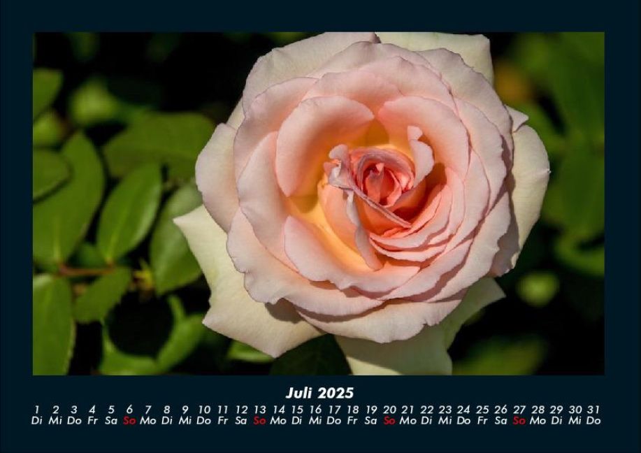 InsideView 11