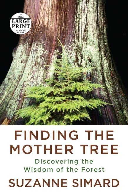 Finding the Mother Tree - Suzanne Simard