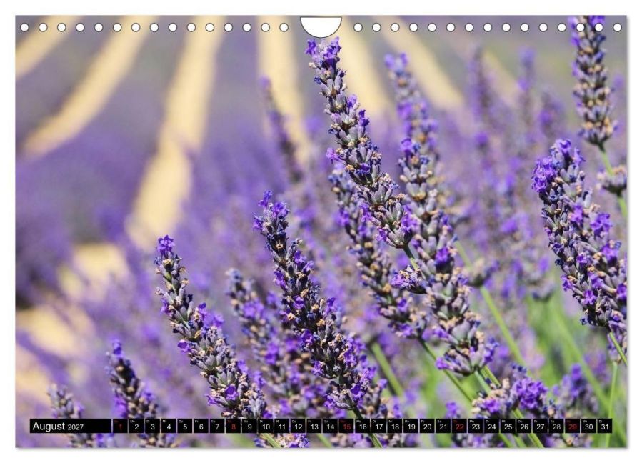 InsideView 13