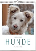Literarischer Hunde - Kalender 2026 - Vivendi Ars
