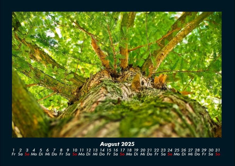 InsideView 12