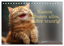 Katzen können alles, außer traurig. (Tischkalender 2026 DIN A5 quer), CALVENDO Monatskalender - Ki Rolf Skrypzak