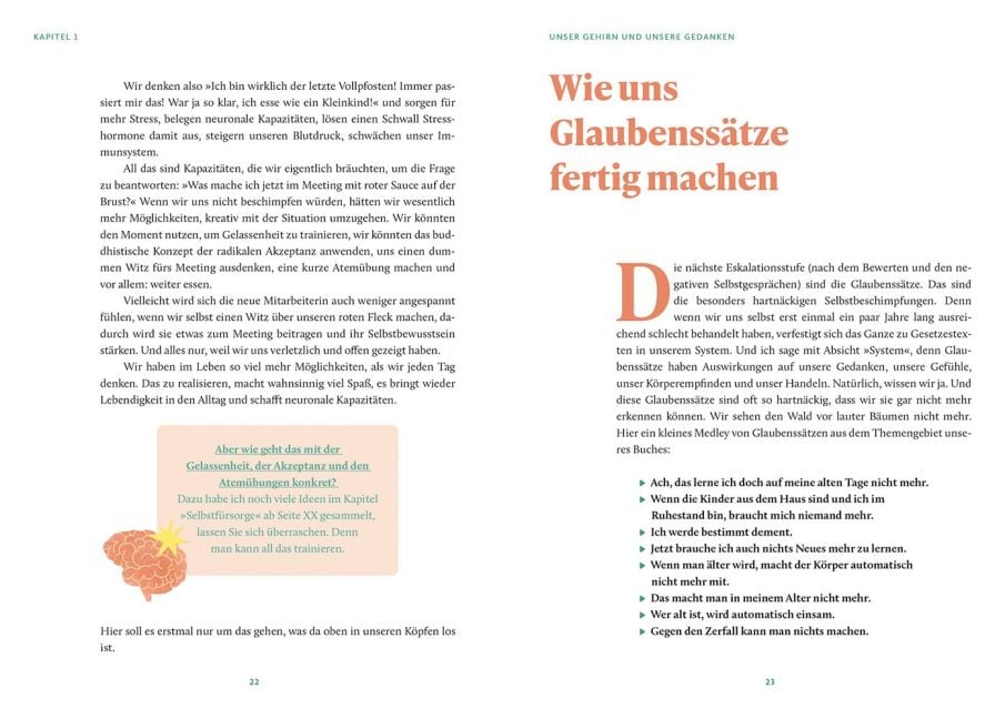 InsideView 5