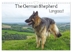 Cover-Bild zum Titel 'The German Shepherd Longcoat (Wall Calendar 2026 DIN A4 landscape), CALVENDO 12 Month Wall Calendar' von 'Judy Vowles'