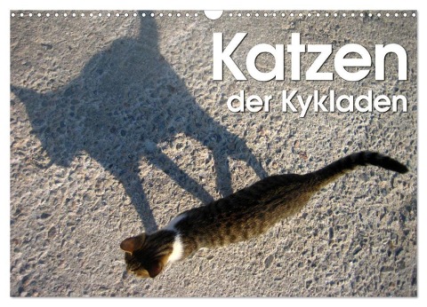 Katzen der Kykladen (Wandkalender 2024 DIN A3 quer), CALVENDO Monatskalender - Silvia Kraemer