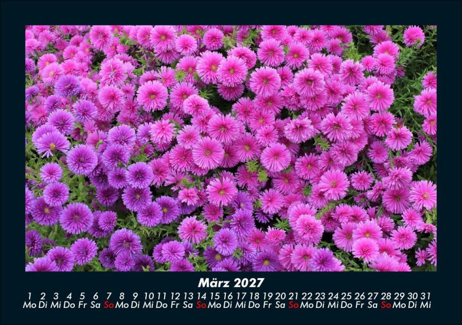 InsideView 7