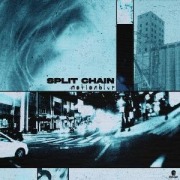 Cover-Bild zum Titel 'Motionblur' von 'Split Chain'