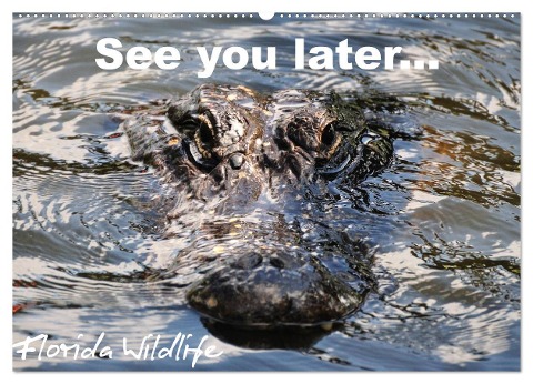 See you later ... Florida Wildlife (Wandkalender 2024 DIN A2 quer), CALVENDO Monatskalender - Uwe Bade