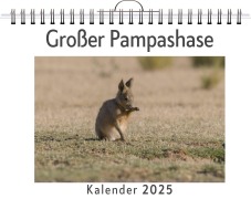 Cover-Bild zum Titel 'Großer Pampashase' von 'Theo Fischer'
