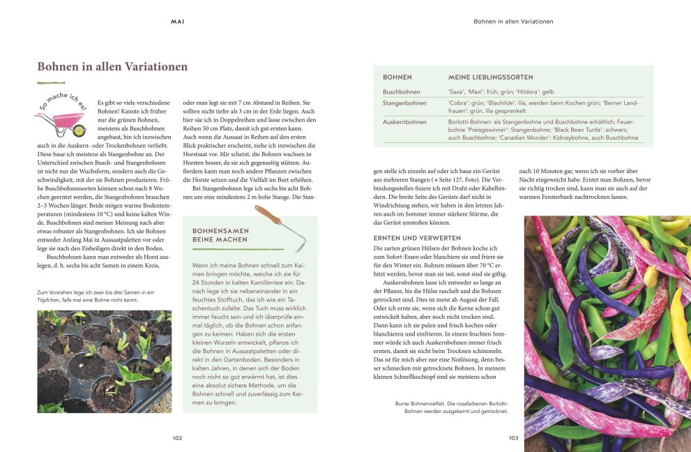 InsideView 5