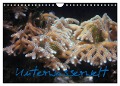 Unterwasserwelt (Wandkalender 2025 DIN A4 quer), CALVENDO Monatskalender - Stefanie Wandt