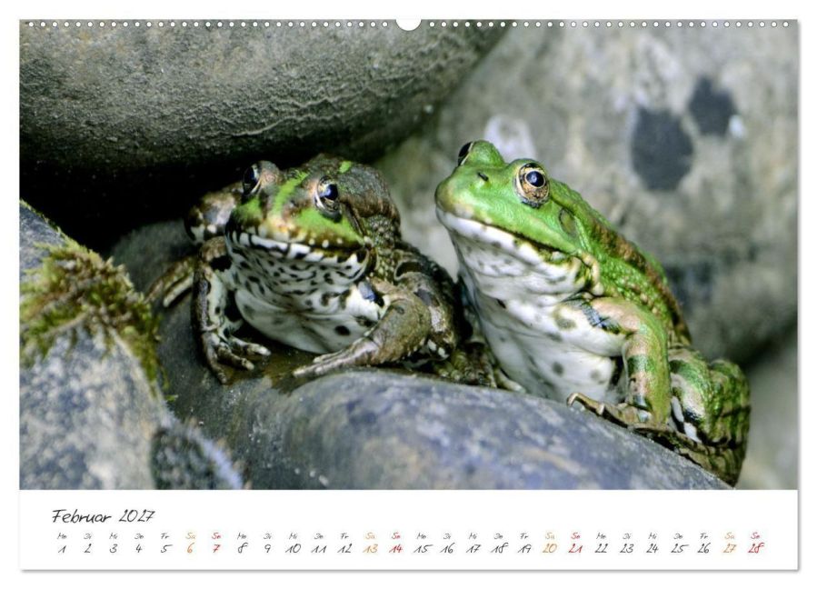 InsideView 6