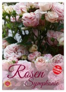 Cover-Bild zum Titel 'Rosen Symphonie (Wandkalender 2026 DIN A2 hoch), CALVENDO Monatskalender' von 'Martina Cross'