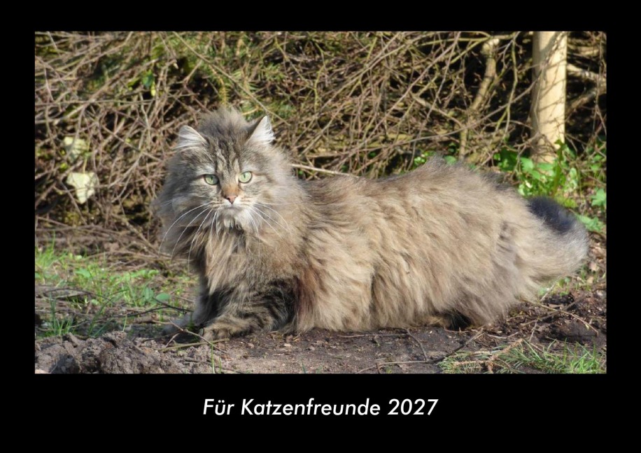 Für Katzenfreunde 2027 Fotokalender DIN A3 - Tobias Becker