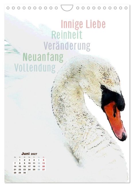 InsideView 11