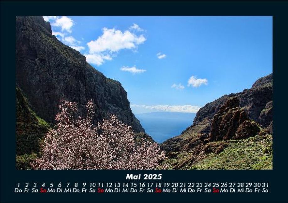 InsideView 9