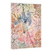 Cover-Bild zum Titel '12-Monatskalender. 2026 Anemone Midi Horizontal' von ''