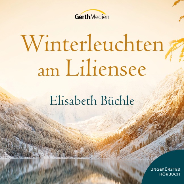 Winterleuchten am Liliensee - Elisabeth Büchle