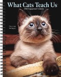 What Cats Teach Us 2025 6.5 X 8.5 Engagement Calendar - Willow Creek Press