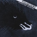 Cover-Bild zum Titel 'We Don't Rise,We Just Fall' von 'Firmament'