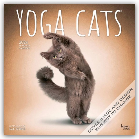 Yoga Cats - Yoga-Katzen 2024 - 16-Monatskalender - BrownTrout Publisher