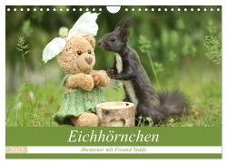 Eichhörnchen - Abenteuer mit Freund Teddy (Wandkalender 2025 DIN A4 quer), CALVENDO Monatskalender - Birgit Cerny