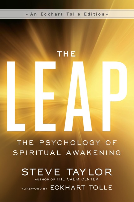 The Leap - Steve Taylor