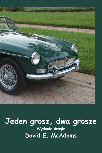 Jeden grosz, dwa grosze - David E McAdams