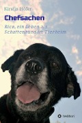 Cover-Bild zum Titel 'Chefsachen' von 'Kirstin Höfer'