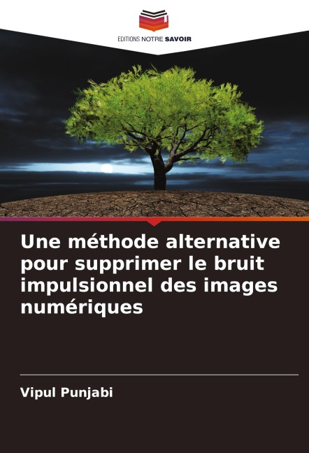 Une méthode alternative pour supprimer le bruit impulsionnel des images numériques - Vipul Punjabi