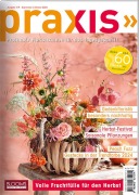 Cover-Bild zum Titel 'PRAXIS Nr. 119' von ''