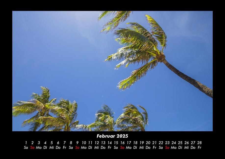 InsideView 6