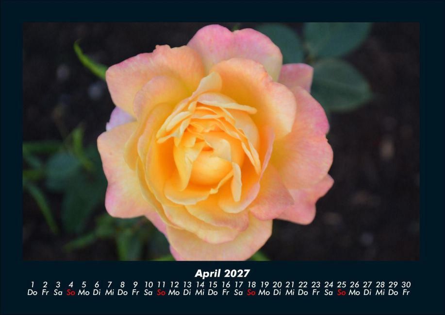 InsideView 8