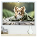 Chihuahuas - Kleine Hunde - große Temperamentbündel (hochwertiger Premium Wandkalender 2025 DIN A2 quer), Kunstdruck in Hochglanz - Fotodesign Verena Scholze