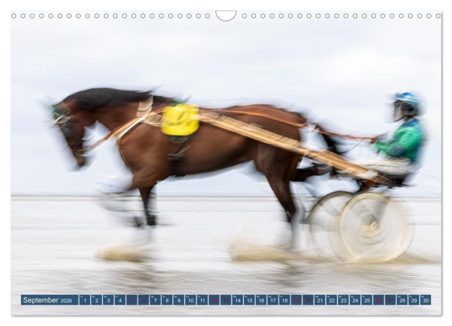 InsideView 14