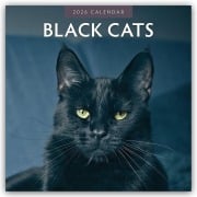 Black Cats - Schwarze Katzen 2026 - 16-Monatskalender - Robin Red