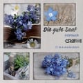 Cover-Bild zum Titel 'Die gute Saat' von 'Various Artists'