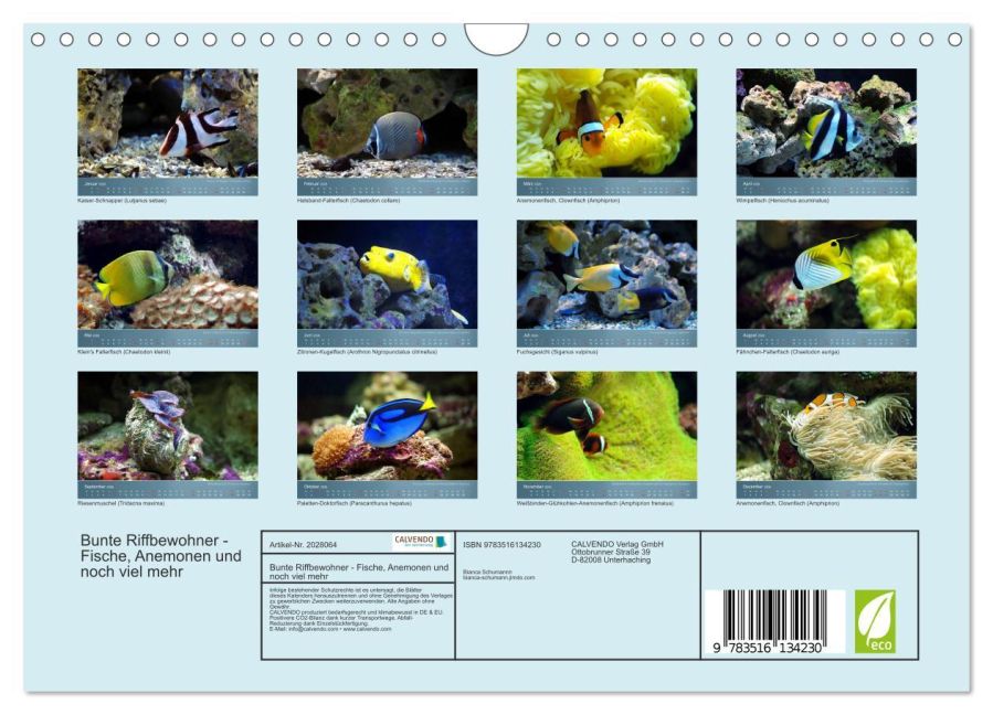 InsideView 5