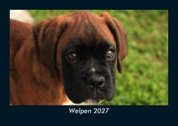 Cover-Bild zum Titel 'Welpen 2027 Fotokalender DIN A5' von 'Tobias Schmitt, Kevin Heber'